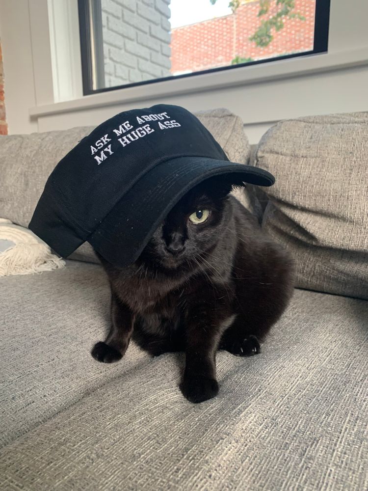 Campari wearing a black baseball cap with a cheeky embroidered slogan